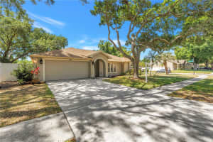5810 BITTER ORANGE AVENUE, TAMPA, FL 33625 - MLS#MFRTB8498828