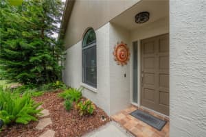 3654 DARSTON STREET, PALM HARBOR, FL 34685 - MLS#MFRTB8498875