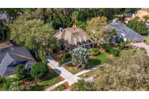 6509 STONINGTON DRIVE, TAMPA, FL 33647 - MLS#MFRTB8498876