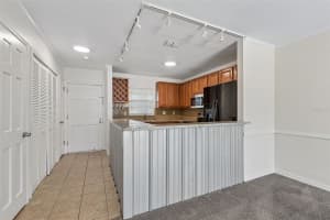 10314 CARROLLWOOD COURT, TAMPA, FL 33618 - MLS#MFRTB8498881