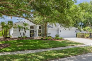 3652 JUSTIN DRIVE, PALM HARBOR, FL 34685 - MLS#MFRTB8498886