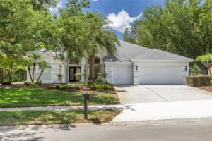 3652 JUSTIN DRIVE, PALM HARBOR, FL 34685 - MLS#MFRTB8498886