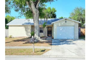 11511 SMOKETHORN DRIVE, RIVERVIEW, FL 33579 - MLS#MFRTB8498923