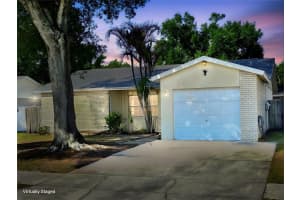 11511 SMOKETHORN DRIVE, RIVERVIEW, FL 33579 - MLS#MFRTB8498923