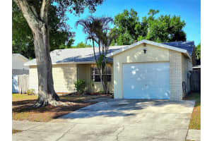 11511 SMOKETHORN DRIVE, RIVERVIEW, FL 33579 - MLS#MFRTB8498923