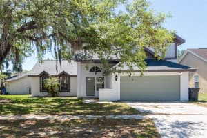 4002 QUAIL BRIAR DRIVE, VALRICO, FL 33596 - MLS#MFRTB8498943