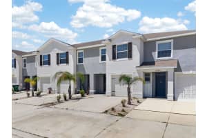 33105 MAJOR OAK DRIVE, WESLEY CHAPEL, FL 33545 - MLS#MFRTB8498948