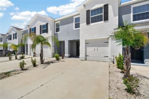 33105 MAJOR OAK DRIVE, WESLEY CHAPEL, FL 33545 - MLS#MFRTB8498948