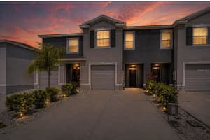 2928 BELUGA BAY DRIVE, ODESSA, FL 33556 - MLS#MFRTB8498949