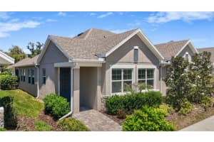 13890 KINGFISHER GLEN DRIVE, LITHIA, FL 33547 - MLS#MFRTB8498961