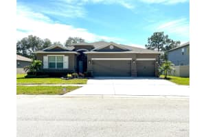 13814 BEE TREE COURT, HUDSON, FL 34669 - MLS#MFRTB8498971