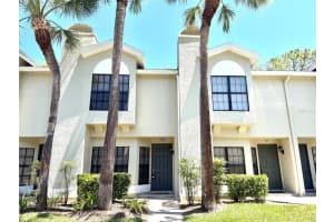 5100 Burchette Rd #3102, TAMPA