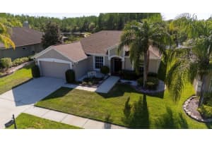 18012 SPARROWS NEST DRIVE, LUTZ, FL 33558 - MLS#MFRTB8498989