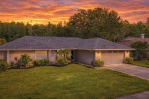 15110 NATUREWALK DRIVE, TAMPA, FL 33624 - MLS#MFRTB8498995