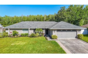 15110 NATUREWALK DRIVE, TAMPA, FL 33624 - MLS#MFRTB8498995