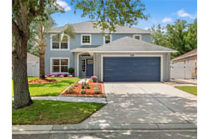 19212 Wood Sage Dr, TAMPA