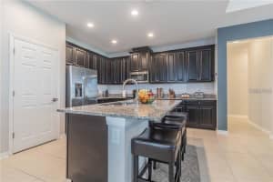 30927 PARROT REEF COURT, WESLEY CHAPEL, FL 33545 - MLS#MFRTB8499018