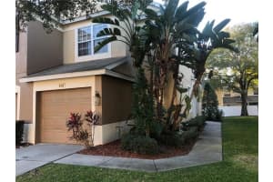 8456 SANDY BEACH STREET, TAMPA, FL 33634 - MLS#MFRTB8499019
