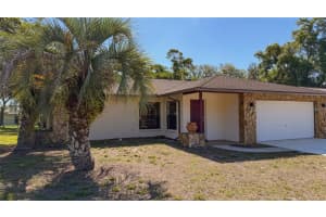13304 WAGNER DRIVE, HUDSON, FL 34667 - MLS#MFRTB8499044