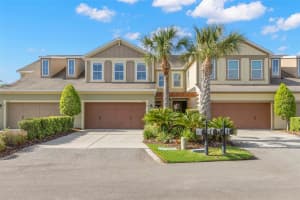 11732 CASA LAGO LANE, TAMPA, FL 33626 - MLS#MFRTB8499047
