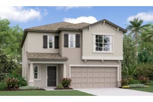 10126 Branching Ship Trce, WESLEY CHAPEL