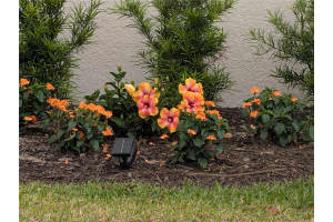 1724 LAKE RESERVE DRIVE, DELAND, FL 32724 - MLS#MFRTB8499065