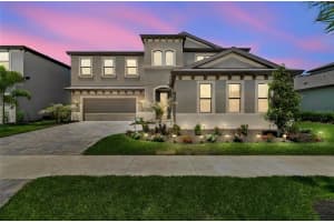 13154 Twin Bridges Dr, RIVERVIEW
