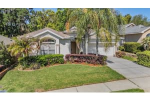 12220 Woodlands Cir, DADE CITY