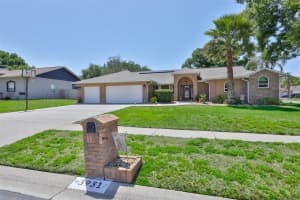 3931 APPLETREE DRIVE, VALRICO, FL 33594 - MLS#MFRTB8499088