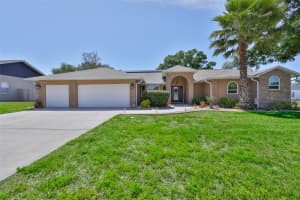 3931 APPLETREE DRIVE, VALRICO, FL 33594 - MLS#MFRTB8499088