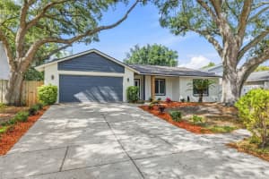 12929 Rain Forest St, TEMPLE TERRACE