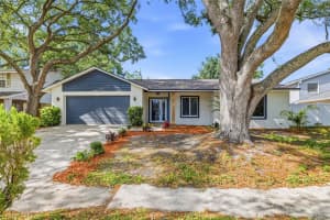 12929 RAIN FOREST STREET, TEMPLE TERRACE, FL 33617 - MLS#MFRTB8499127