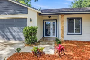 12929 RAIN FOREST STREET, TEMPLE TERRACE, FL 33617 - MLS#MFRTB8499127
