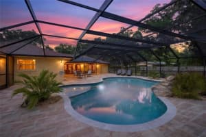 1026 Crystal Lake Rd, LUTZ