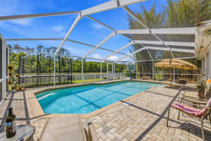 18924 FISHERMANS BEND DRIVE, LUTZ, FL 33558 - MLS#MFRTB8499158