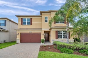 32203 MAHOGANY VALLEY DRIVE, WESLEY CHAPEL, FL 33543 - MLS#MFRTB8499174