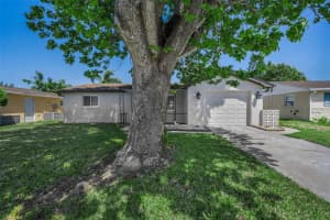 1184 CHELSEA LANE, HOLIDAY, FL 34691 - MLS#MFRTB8499176