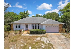 338 KILLINGER AVENUE, SPRING HILL, FL 34606 - MLS#MFRTB8499182