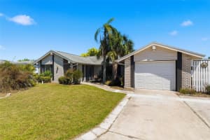 3673 ROCKAWAY DR, HOLIDAY, FL 34691 - MLS#MFRTB8499189