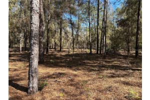 Lot 23 SW 181ST CIR, DUNNELLON, FL 34432 - MLS#MFRTB8499207