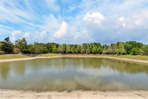 8850 INDIGO TRAIL LOOP, RIVERVIEW, FL 33578 - MLS#MFRTB8499232
