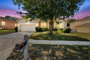 4211 Blakemore Pl, SPRING HILL