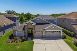 2336 NESSLEWOOD DRIVE, WESLEY CHAPEL, FL 33543 - MLS#MFRTB8499263