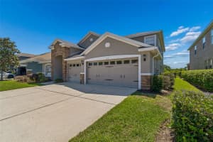 2336 NESSLEWOOD DRIVE, WESLEY CHAPEL, FL 33543 - MLS#MFRTB8499263