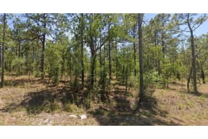0000 GERANIUM AVENUE, DUNNELLON, FL 34431 - MLS#MFRTB8499271