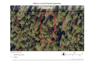 0000 GERANIUM AVENUE, DUNNELLON, FL 34431 - MLS#MFRTB8499271