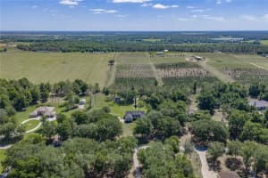 810 SAVANNAH OAKS DRIVE, BROOKSVILLE, FL 34602 - MLS#MFRTB8499287