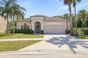12514 LOQUAT WAY, TAMPA, FL 33626 - MLS#MFRTB8499302