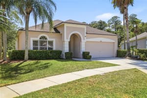12514 LOQUAT WAY, TAMPA, FL 33626 - MLS#MFRTB8499302