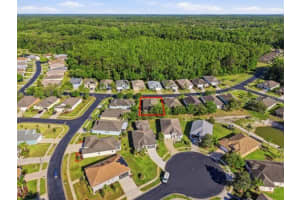 11215 PARADISE POINT WAY, NEW PORT RICHEY, FL 34654 - MLS#MFRTB8499305